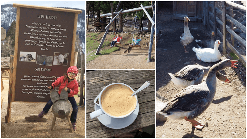 Tierwelt-Rainguthof-Gfrill-für-Kinder